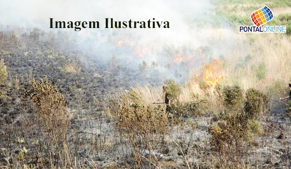 Suspeito é preso por colocar fogo em vegetação