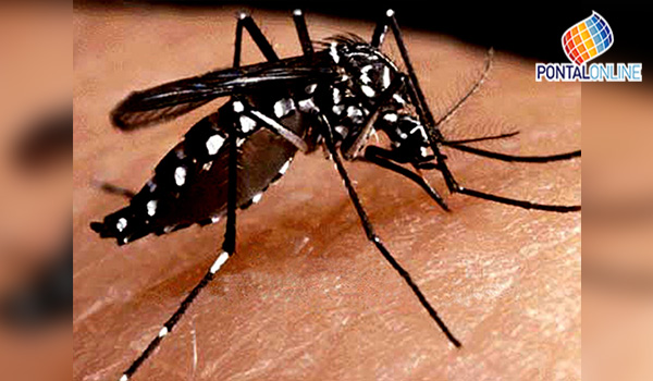 Uberlândia tem mais de 42 mil casos de dengue em 2019