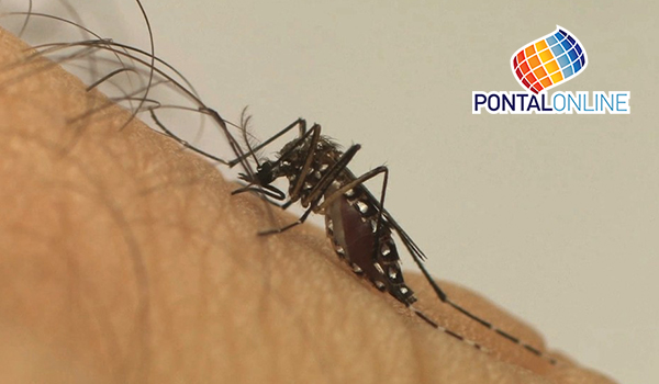 Uberlândia tem mais duas mortes por dengue confirmadas