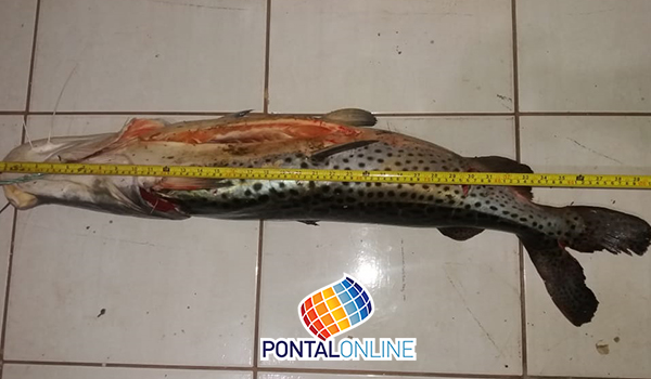 03 10 2019 PESCA