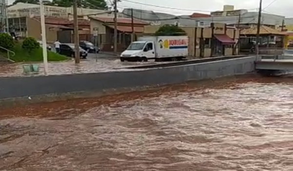 CHUVA FORTE DERRUBA ÁRVORES E ALAGA RUAS DE OLÍMPIA