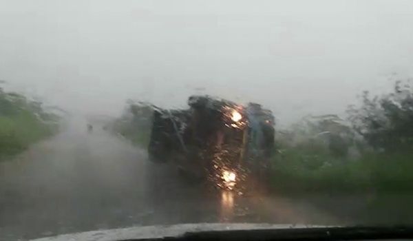 CAMINHÃO CARREGADO COM BOVINOS TOMBA NA MGC-497 EM ITURAMA