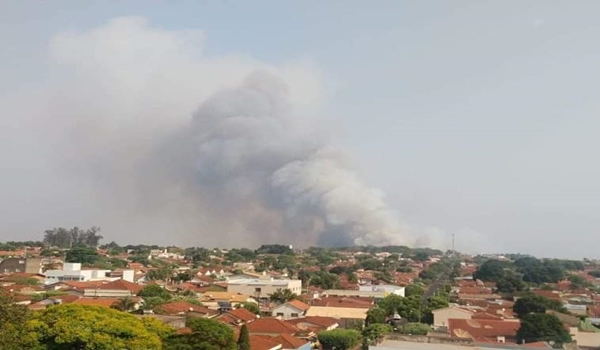 DEFESA CIVIL DE FRUTAL FAZ ALERTA PARA PERÍODO DE INCÊNDIOS EM FRUTAL