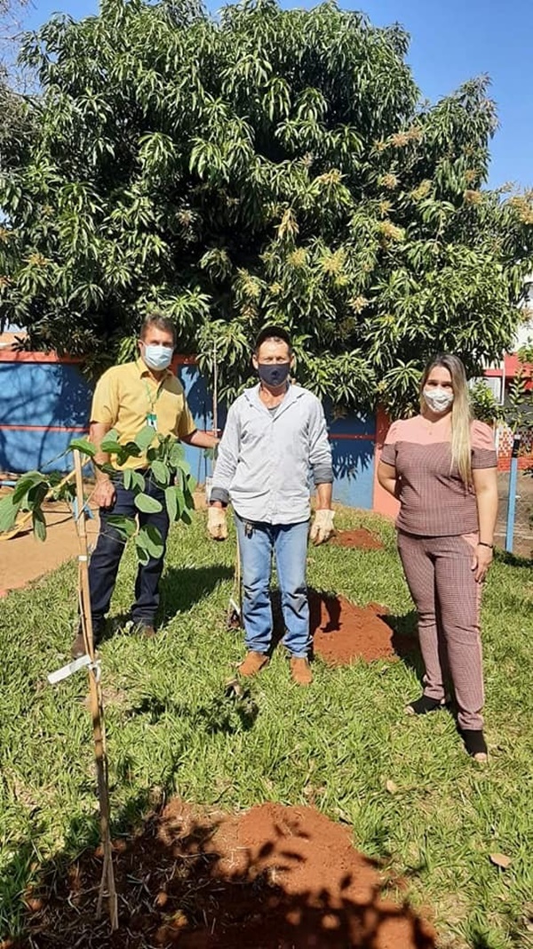 SERVIDORES DA SEMMA PLANTAM ÁRVORES NO CEMEI LOURDES SILVA