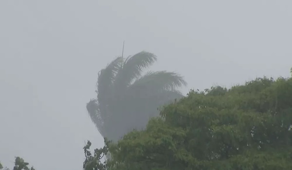 PRIMEIRA SEMANA DE FEVEREIRO DEVE SER CHUVOSA E NUBLADA NO TRIÂNGULO E ALTO PARANAÍBA