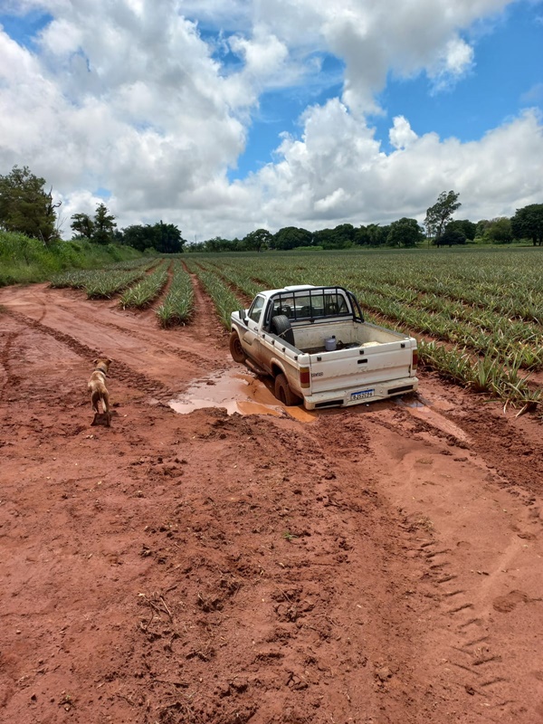 HOMEM É ROUBADO EM PROPRIEDADE RURAL NO MUNICÍPIO DE FRUTAL; OS BANDIDOS LEVARAM VÁRIOS OBJETOS E UMA CAMINHONETE QUE FOI ENCONTRADA NA MANHÃ DE HOJE