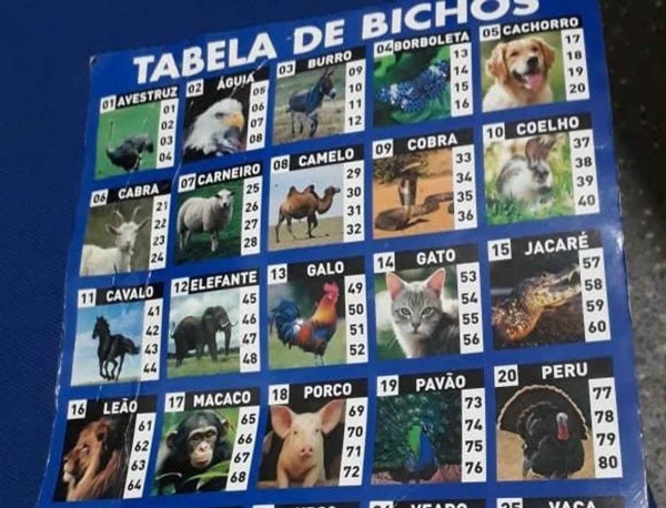 IDOSO DENUNCIA A PRÓPRIA ESPOSA POR FAZER APOSTAS NO JOGO DO BICHO EM UBERABA