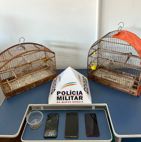 POLÍCIAS CIVIL E MILITAR CUMPREM MANDADOS DE BUSCA E APREENSÃO EM FRUTAL