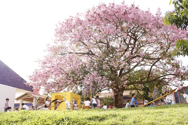 INDIVÍDUOS NÃO IDENTIFICADOS INVADEM CEMEI PELA SEGUNDA VEZ EM UMA SEMANA