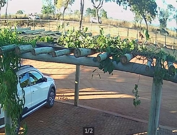 EM CORRIDA DE R$ 40, MOTORISTA DE APLICATIVO É ESFAQUEADO NO PESCOÇO DURANTE ASSALTO E LADRÃO FOGE EM MG