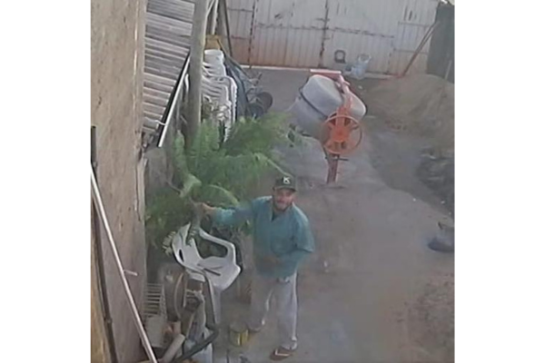 POLÍCIA MILITAR PROCURA SUSPEITO DE FURTOS FLAGRADO POR CÂMERAS DE SEGURANÇA EM FRUTAL
