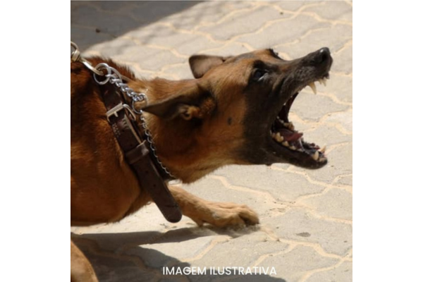 MULHER É ATACADA POR CACHORRO SOLTO NO BAIRRO NOSSA SENHORA APARECIDA EM FRUTAL