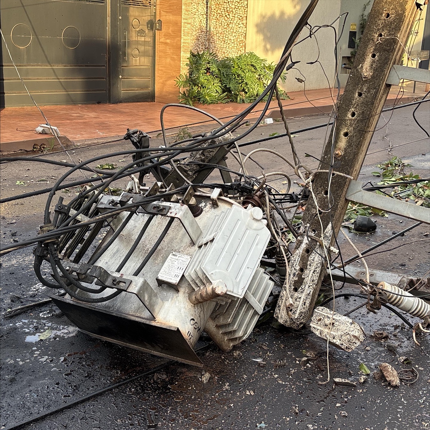 DEFESA CIVIL REGISTRA OITO QUEDAS DE ÁRVORES EM FRUTAL DURANTE TEMPESTADE