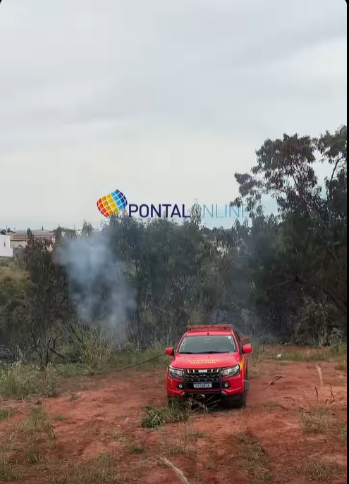 INCÊNDIO EM ÁREA DE MATA MOBILIZA CORPO DE BOMBEIROS EM FRUTAL