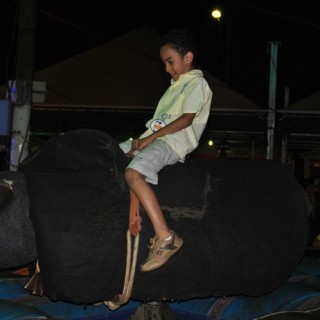 7ª Festa da Fraternidade-25