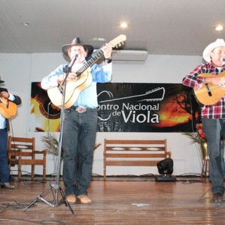 8º Encontro Nacional de Viola 2012-273