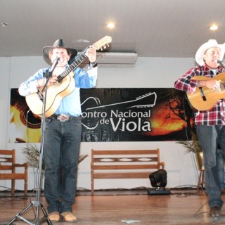 8º Encontro Nacional de Viola 2012-274